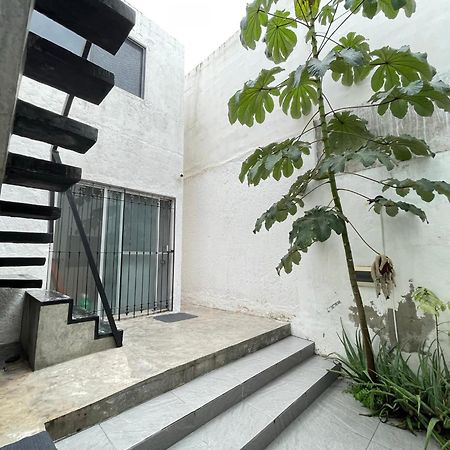 Casa Y Departamentos Lavanda Mérida Esterno foto