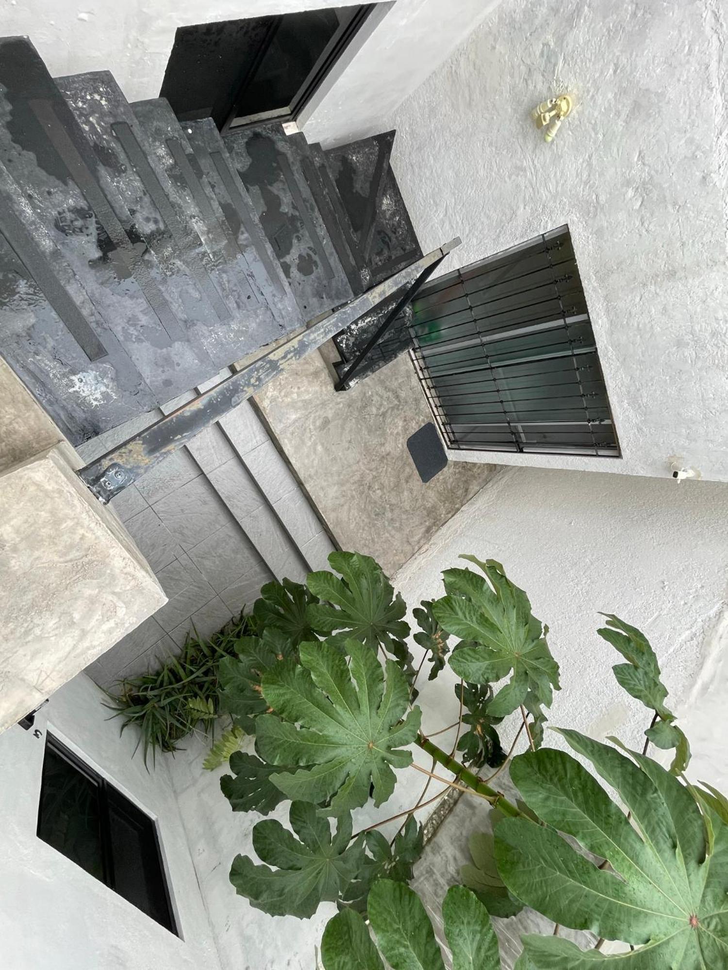 Casa Y Departamentos Lavanda Mérida Esterno foto